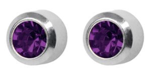 Silver Stud Birthstone Amethyst (february)