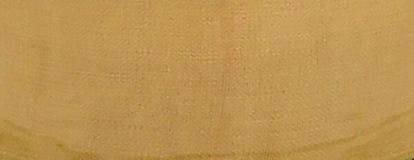 Organza Ribbon Pale Gold 24mm X 50m