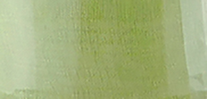 Organza Ribbon Pistachio 24mm X 50m