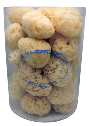 Sea Sponge Natural 8.5cm Display Of 30