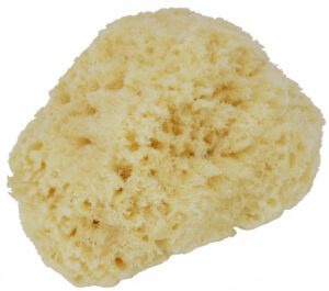 Sponge Natural Sea 22.5cm