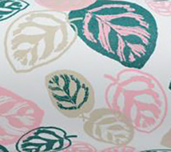 Paper Roll Calathea Leaves On White 50cm X 50m