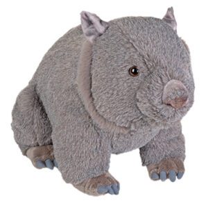 Wombat Plush 20cm