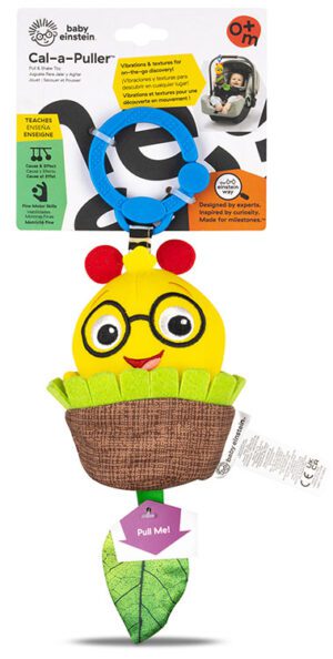 Baby Einstein Caterpillar Pull & Shake Toy